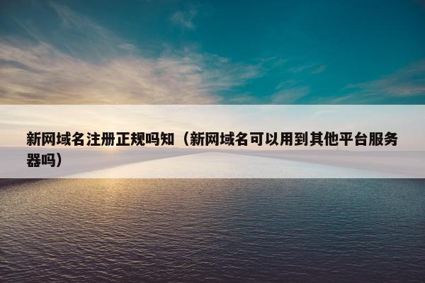 新网域名注册正规吗知（新网域名可以用到其他平台服务器吗）