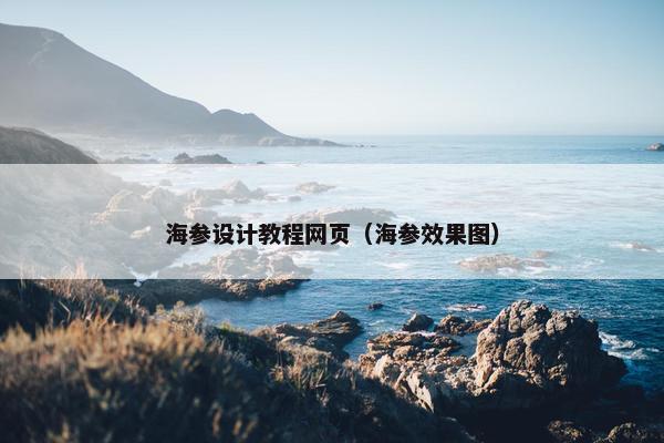 海参设计教程网页（海参效果图）
