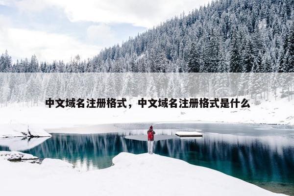 中文域名注册格式，中文域名注册格式是什么
