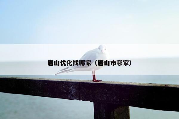 唐山优化找哪家（唐山市哪家）