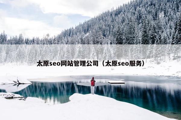 太原seo网站管理公司（太原seo服务）