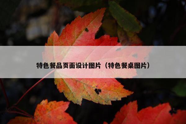 特色餐品页面设计图片（特色餐桌图片）