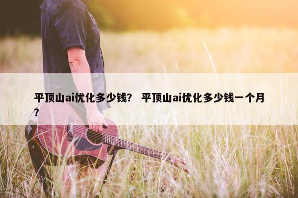 平顶山ai优化多少钱？ 平顶山ai优化多少钱一个月？