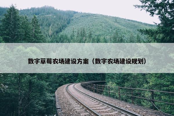 数字草莓农场建设方案（数字农场建设规划）