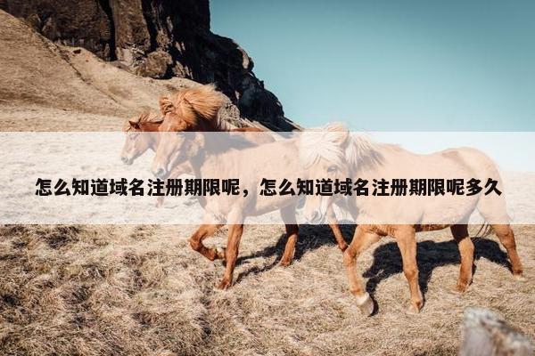 怎么知道域名注册期限呢，怎么知道域名注册期限呢多久