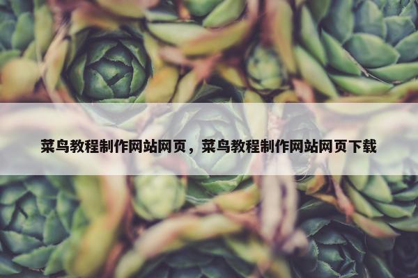 菜鸟教程制作网站网页，菜鸟教程制作网站网页下载