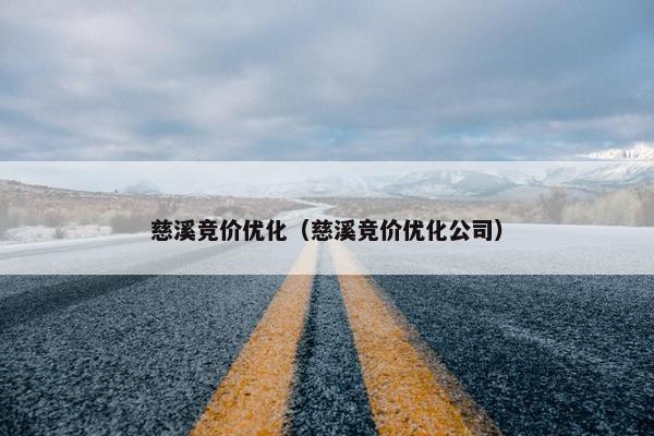 慈溪竞价优化（慈溪竞价优化公司）