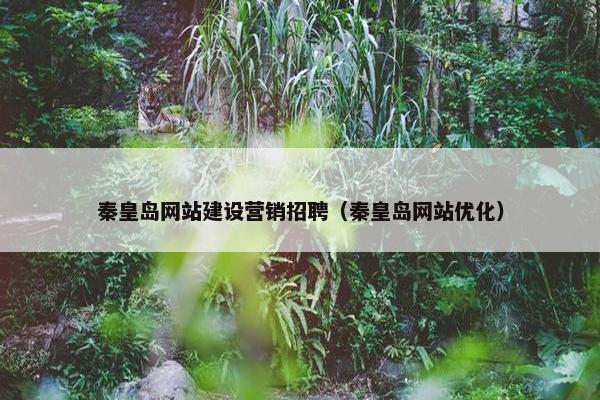 秦皇岛网站建设营销招聘（秦皇岛网站优化）