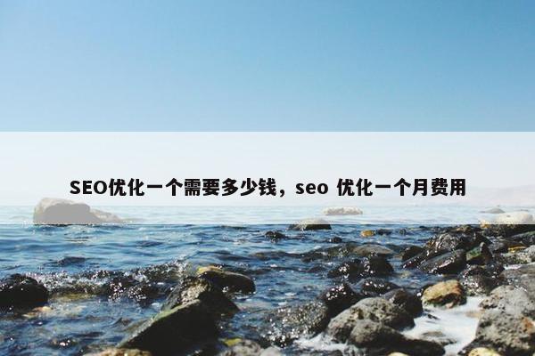 SEO优化一个需要多少钱，seo 优化一个月费用