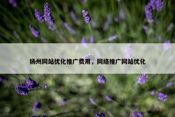 扬州网站优化推广费用，网络推广网站优化