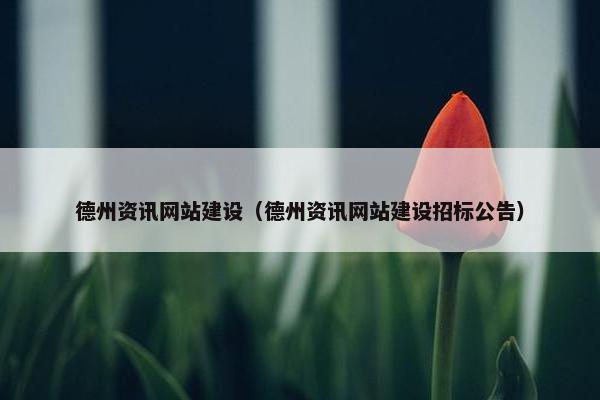 德州资讯网站建设（德州资讯网站建设招标公告）