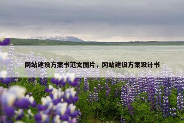 网站建设方案书范文图片，网站建设方案设计书