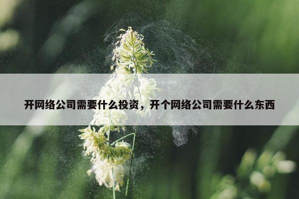 开网络公司需要什么投资，开个网络公司需要什么东西