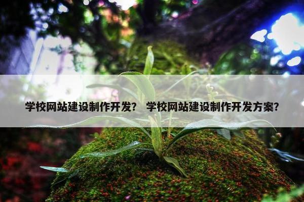 学校网站建设制作开发？ 学校网站建设制作开发方案？