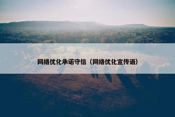 网络优化承诺守信（网络优化宣传语）