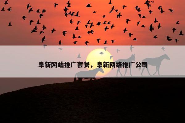 阜新网站推广套餐，阜新网络推广公司