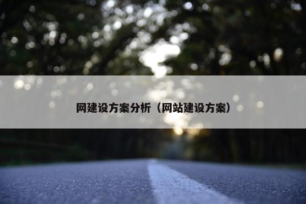 网建设方案分析（网站建设方案）