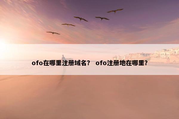 ofo在哪里注册域名？ ofo注册地在哪里？