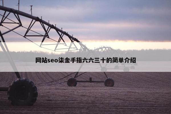 网站seo柒金手指六六三十的简单介绍