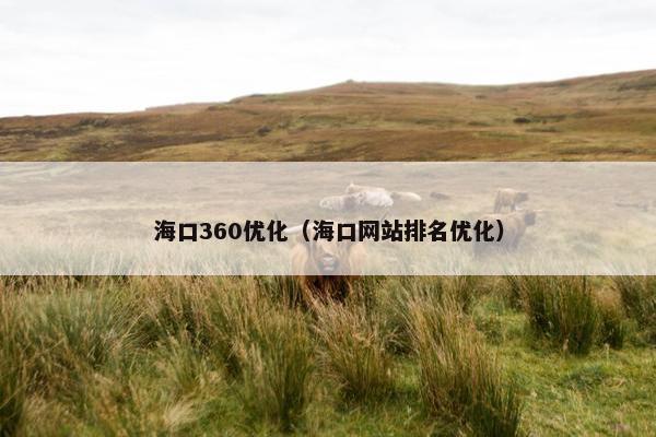 海口360优化（海口网站排名优化）