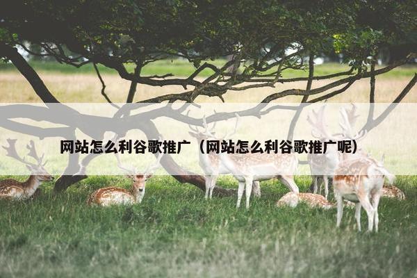 网站怎么利谷歌推广（网站怎么利谷歌推广呢）