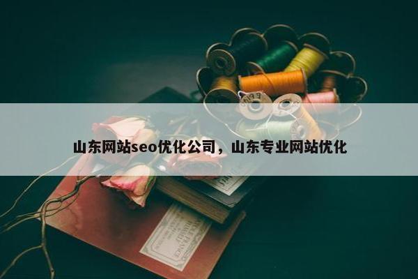 山东网站seo优化公司，山东专业网站优化