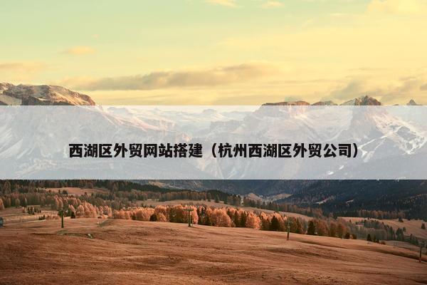 西湖区外贸网站搭建（杭州西湖区外贸公司）