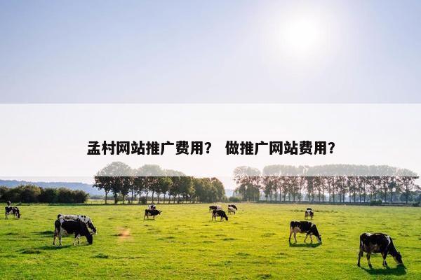 孟村网站推广费用？ 做推广网站费用？