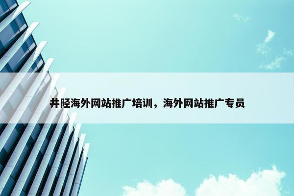 井陉海外网站推广培训，海外网站推广专员