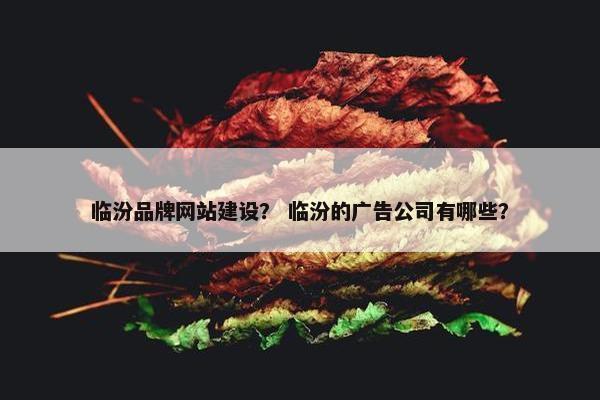 临汾品牌网站建设？ 临汾的广告公司有哪些？