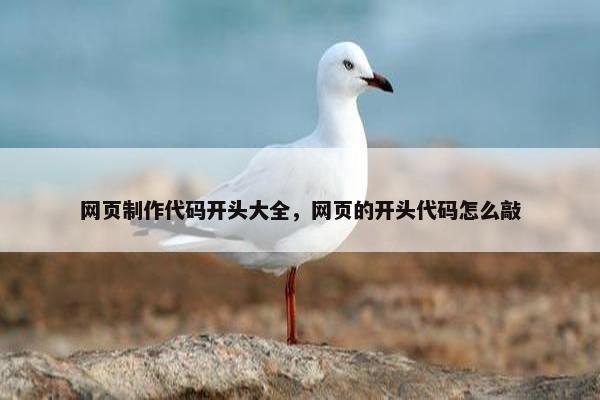 网页制作代码开头大全，网页的开头代码怎么敲