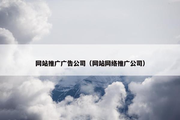 网站推广广告公司（网站网络推广公司）