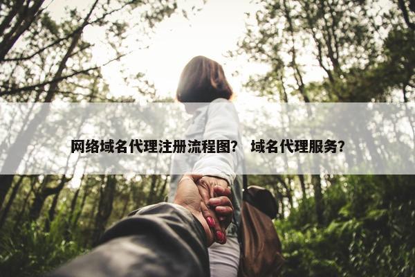 网络域名代理注册流程图？ 域名代理服务？