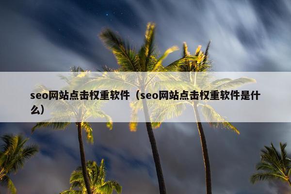seo网站点击权重软件（seo网站点击权重软件是什么）