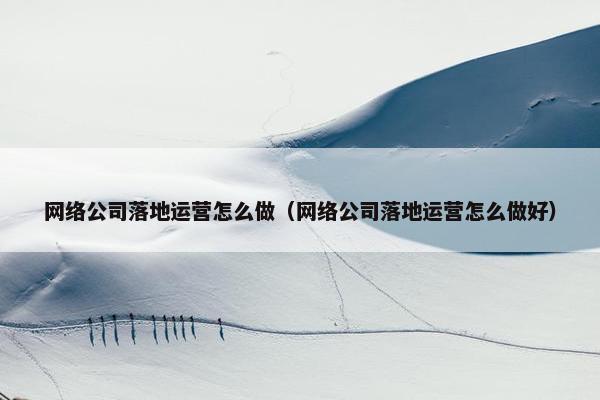 网络公司落地运营怎么做（网络公司落地运营怎么做好）