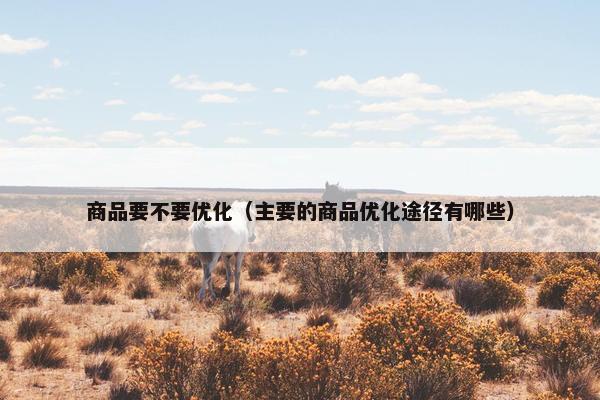 商品要不要优化（主要的商品优化途径有哪些）