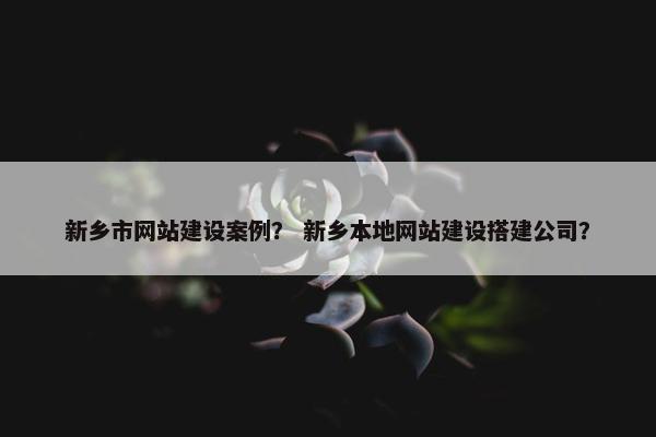 新乡市网站建设案例？ 新乡本地网站建设搭建公司？