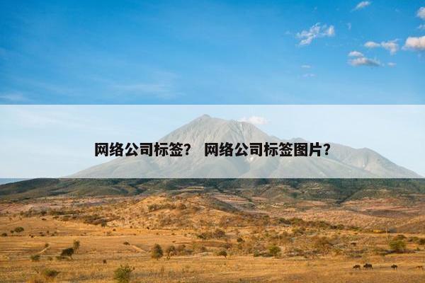 网络公司标签？ 网络公司标签图片？