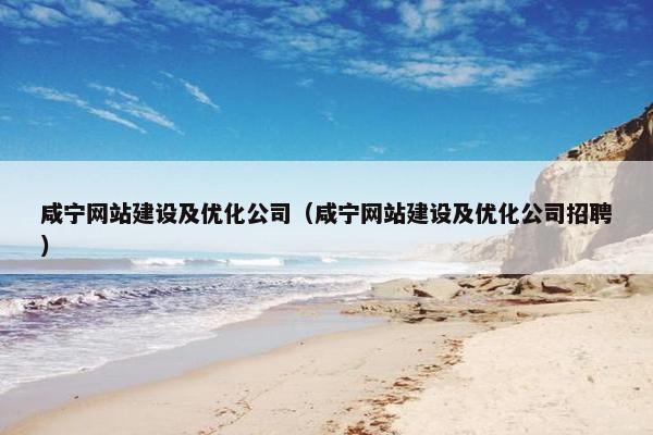咸宁网站建设及优化公司（咸宁网站建设及优化公司招聘）