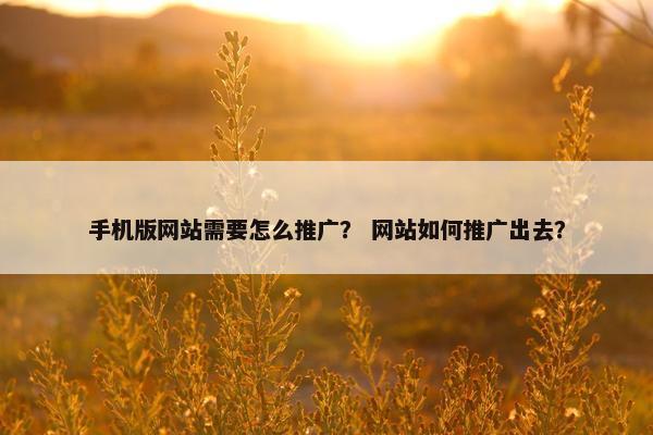 手机版网站需要怎么推广？ 网站如何推广出去？