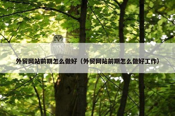 外贸网站前期怎么做好（外贸网站前期怎么做好工作）