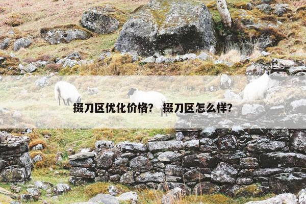 掇刀区优化价格？ 掇刀区怎么样？