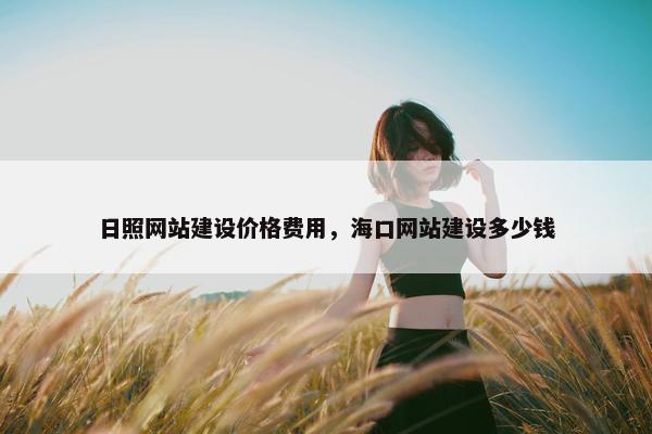 日照网站建设价格费用，海口网站建设多少钱