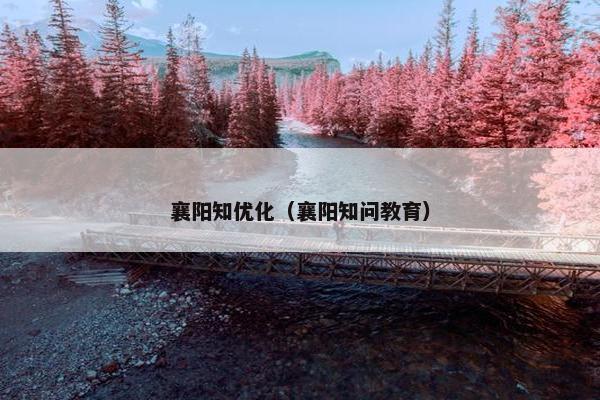 襄阳知优化（襄阳知问教育）