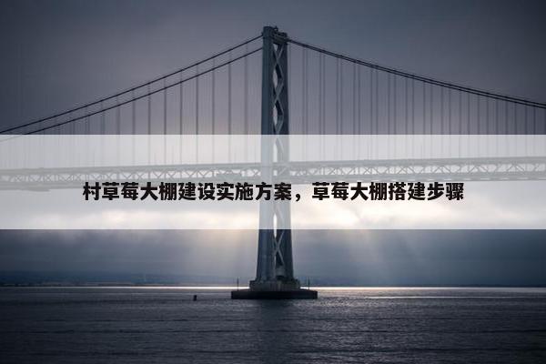 村草莓大棚建设实施方案，草莓大棚搭建步骤