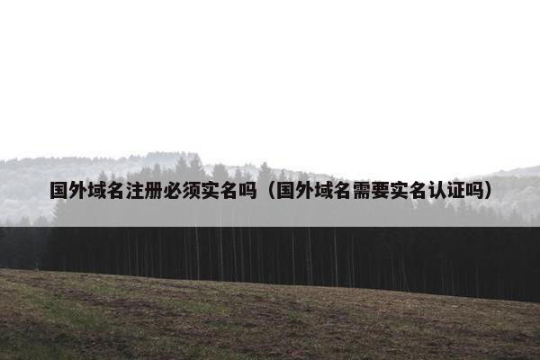 国外域名注册必须实名吗（国外域名需要实名认证吗）