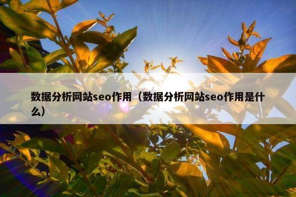 数据分析网站seo作用（数据分析网站seo作用是什么）