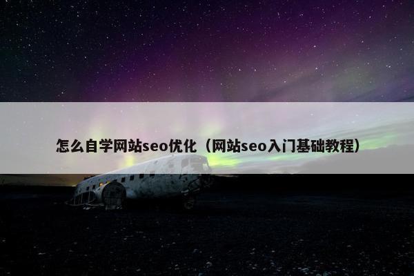 怎么自学网站seo优化（网站seo入门基础教程）