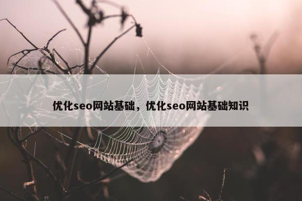 优化seo网站基础，优化seo网站基础知识