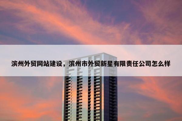 滨州外贸网站建设，滨州市外贸新星有限责任公司怎么样